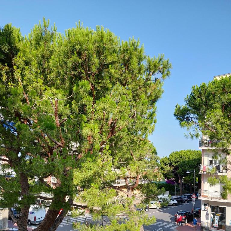 Cala Mare Home - Appartamento con 2 Camere da Letto - 18