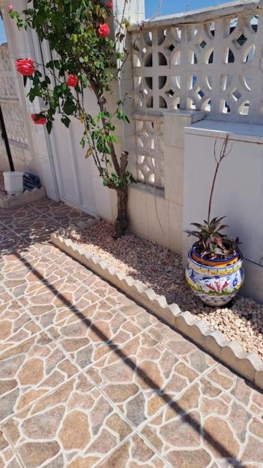Maison santa pola - Casa de 2 dormitorios - 2