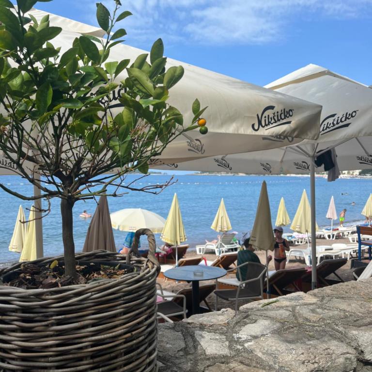 Adriatic apartman - Apartman sa 2 Spavaće Sobe - 12