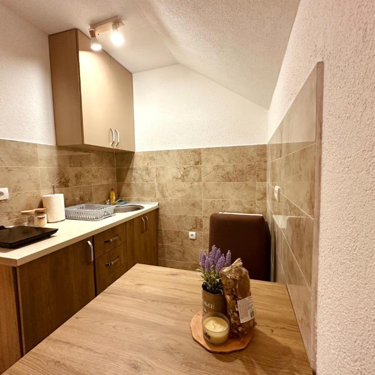 Apartments Milićević Žabljak - Apartman sa Pogledom na Planinu - 4
