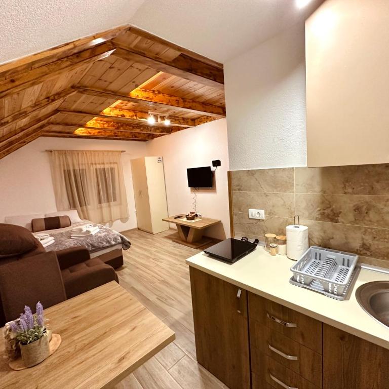 Apartments Milićević Žabljak - Apartman sa Pogledom na Planinu - 7