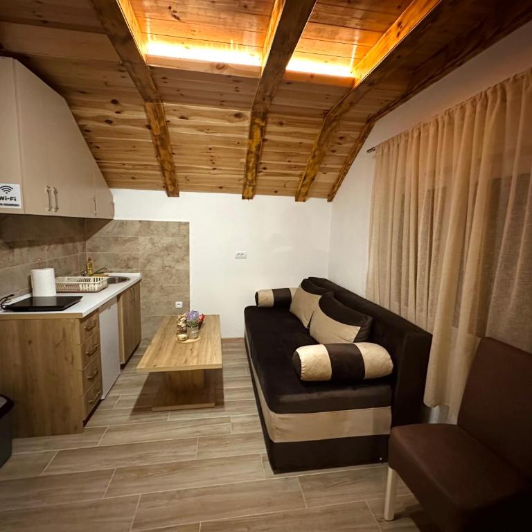 Apartments Milićević Žabljak - Apartman sa 1 Spavaćom Sobom - 11