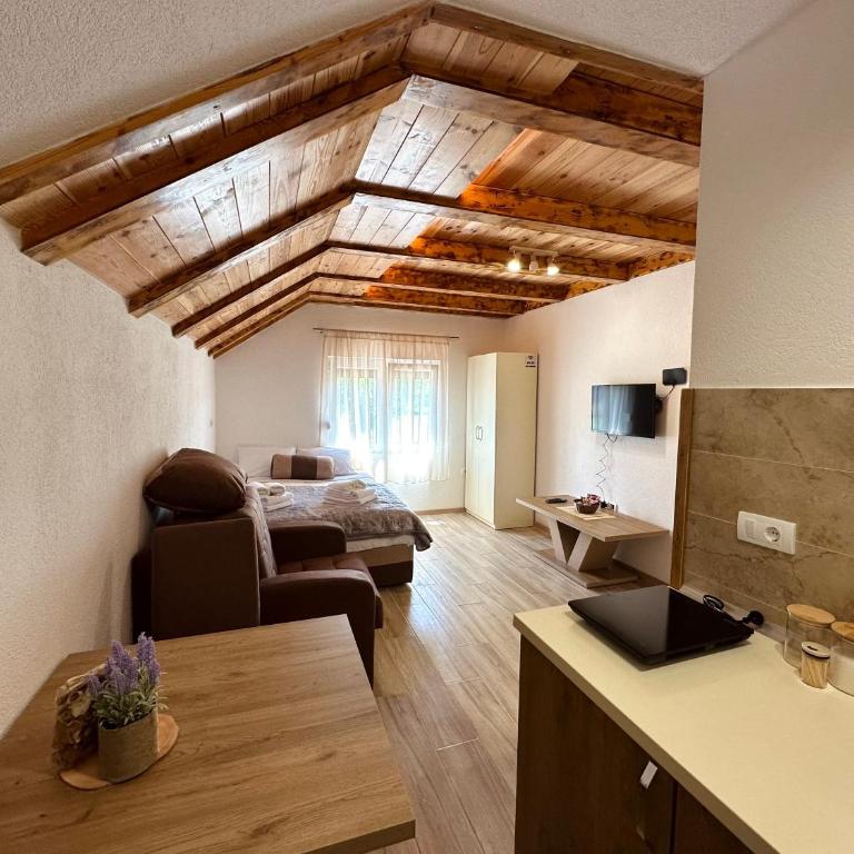 Apartments Milićević Žabljak - Apartman sa Pogledom na Planinu - 6