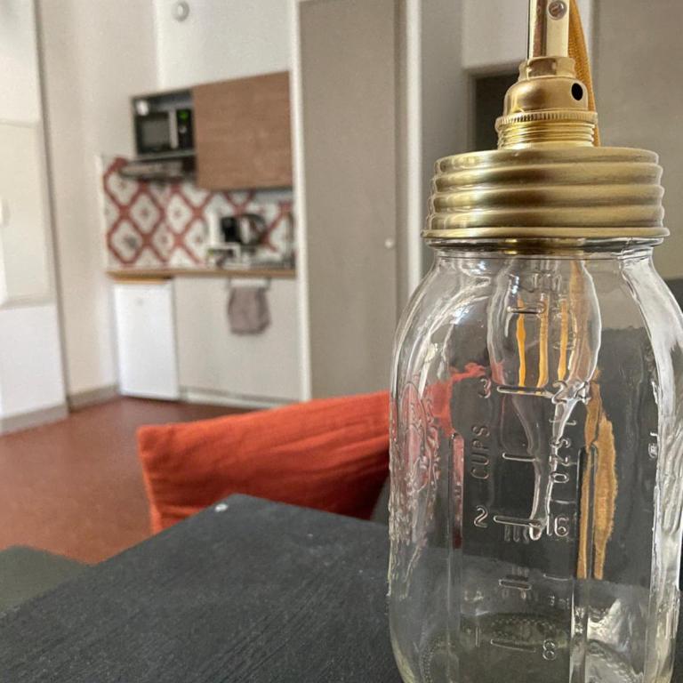 Le Petit Pilat - Studio de charme en hyper centre avec climatisation - Studio-Apartment - 9