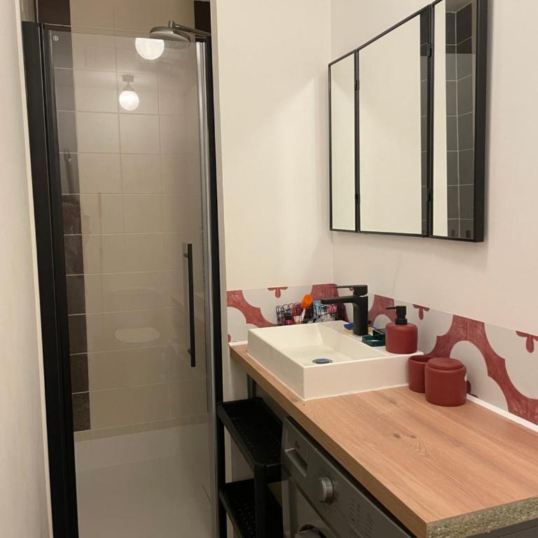 Le Petit Pilat - Studio de charme en hyper centre avec climatisation - Studio-Apartment - 10