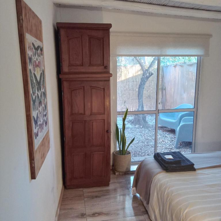 El Olivo - Apartamento de 1 dormitorio - 5