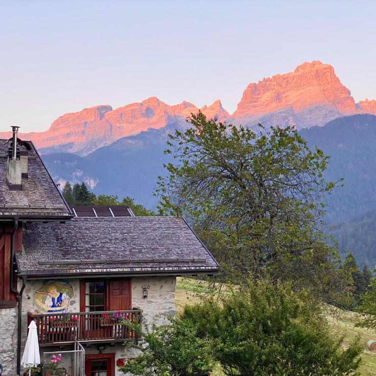 Monolocale in chalet alpino 022143-AT-010681 - Appartamento con 1 Camera da Letto - 1