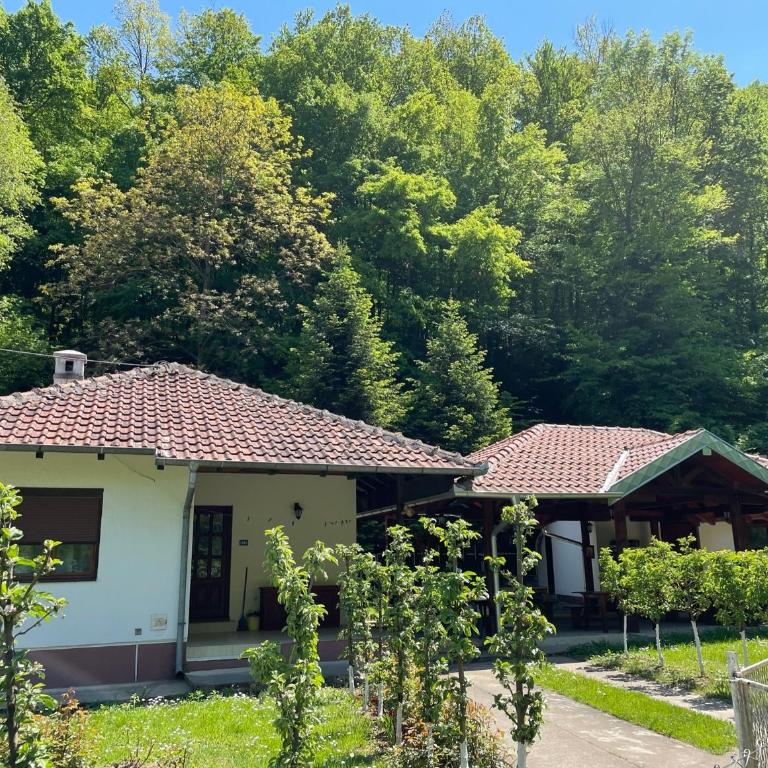Vitez Koja - Kuća sa 2 Spavaće Sobe - 27