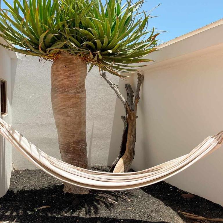 Preciosa Casa Cristian y María con piscina privada - Villa Deluxe - 41