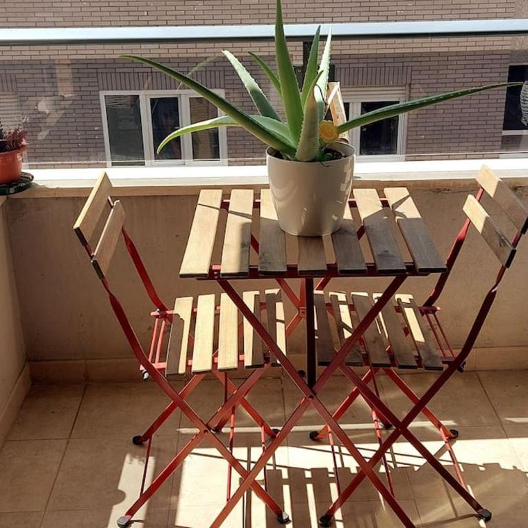Superacogedor y semicentrico piso - Apartamento de 3 dormitorios - 12