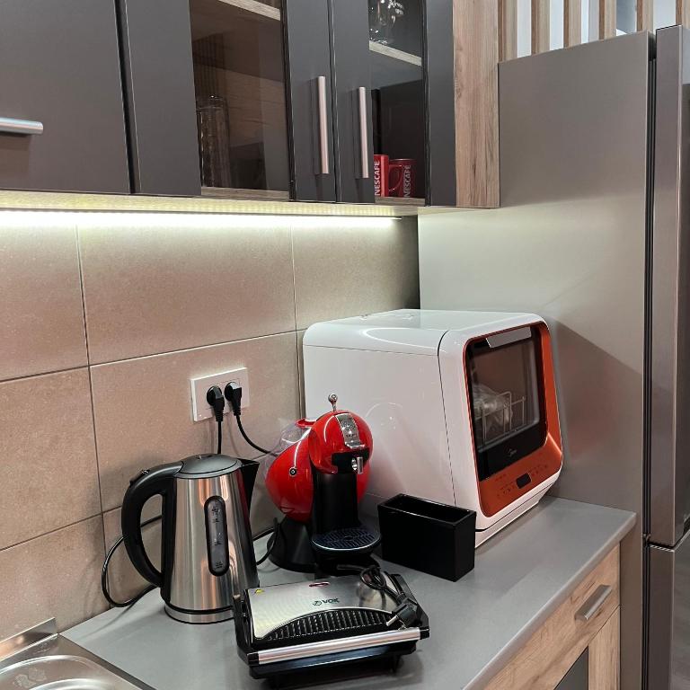 R Lux Apartman Jagodina Akva Park - Apartman sa 1 Spavaćom Sobom - 62