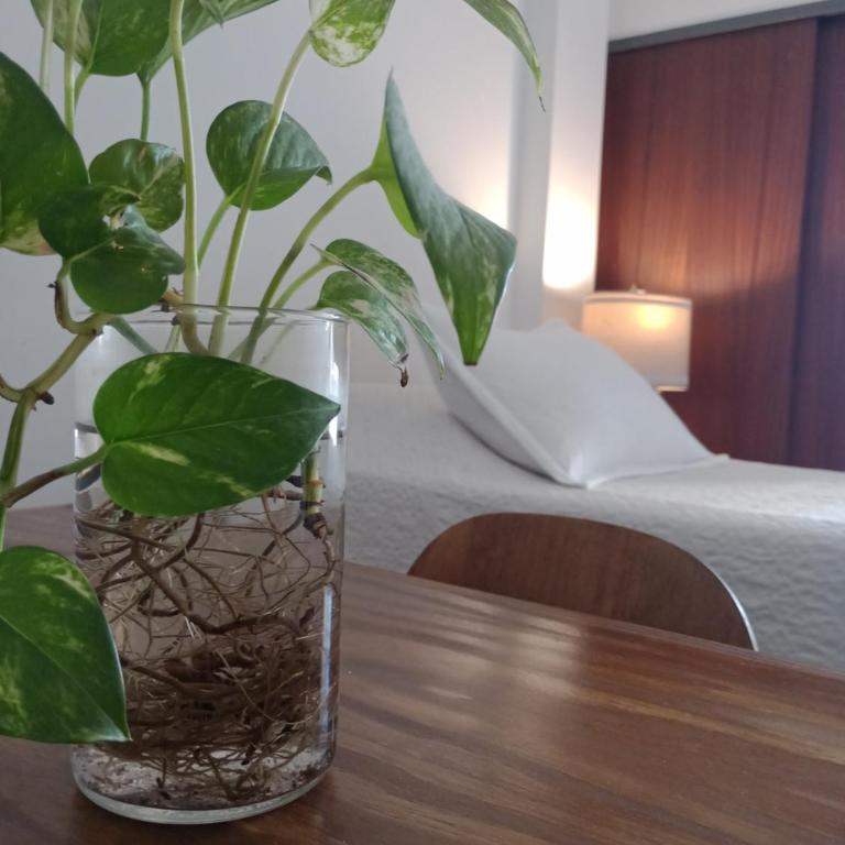 ALOJAMIENTOS ROSARIO! A media cuadra de la principal Av Boulevard Oroño! - Apartamento de 1 dormitorio - 7