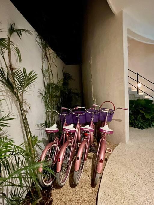 Casa Kuk, stylish, Beach at 5 min, Pool, Concierge - Villa - 24