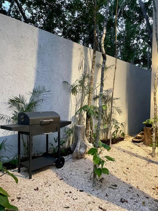 Casa Kuk, stylish, Beach at 5 min, Pool, Concierge - Villa - 43