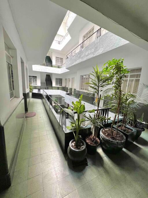 Departamento en Juan Escutia Condesa - Apartamento de 3 dormitorios - 26