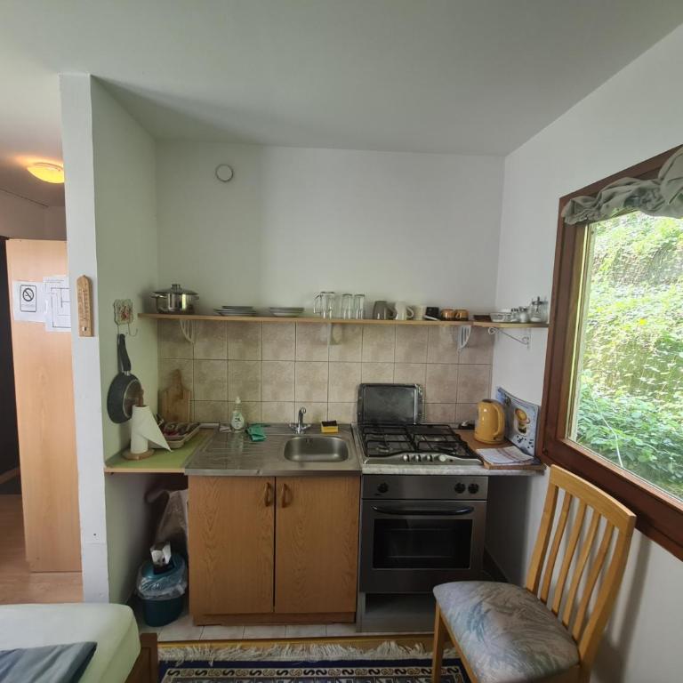 Villa Old Town - Apartman sa Pogledom na Vrt - 10