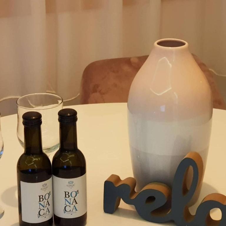 Vila Pino Silvestre - Apartman sa 1 Spavaćom Sobom - 6