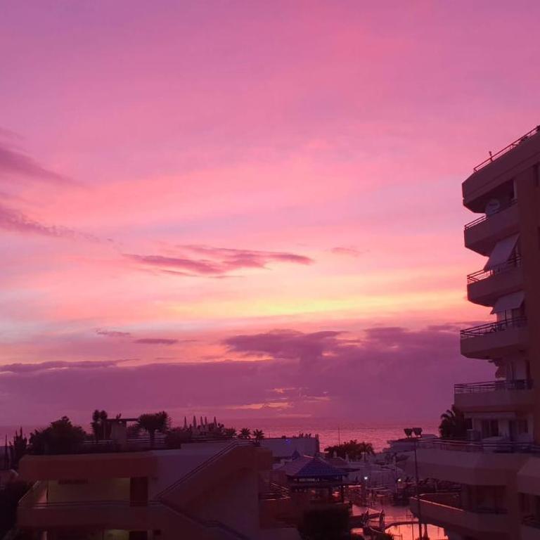 Apartment in Ocean Park, Costa Adeje, Tenerife - One-Bedroom Apartment - 40