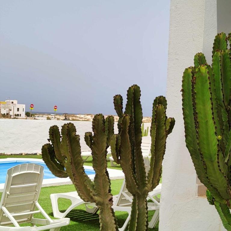 El Cotillo On The Beach Playa la Concha - Apartamento de 1 dormitorio - 43