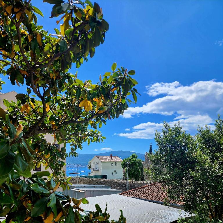 Apartmani Stipanic Tivat - Apartment with Balcony - 21