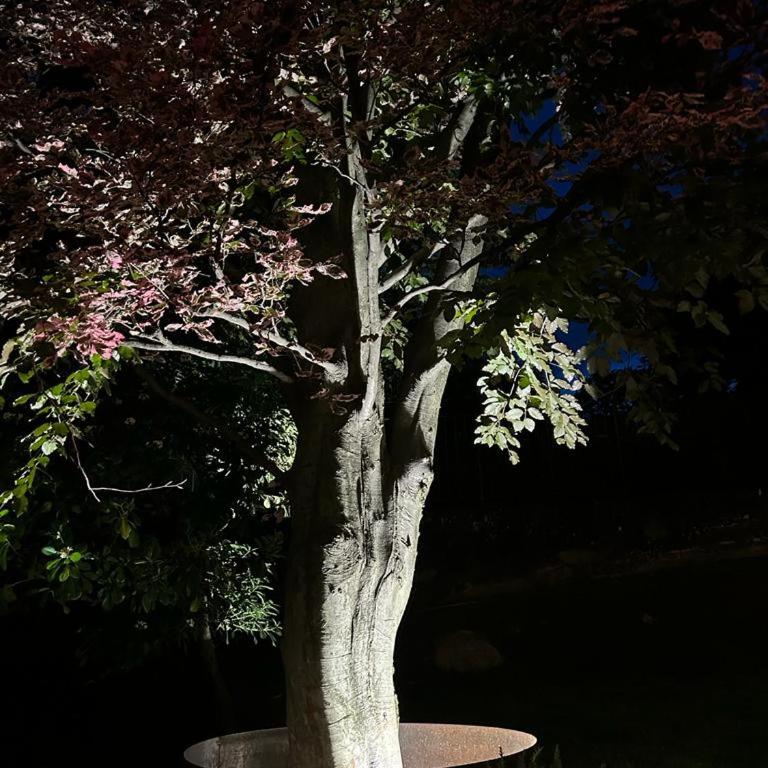i FAGGI ROSSI - RED BEECH TREES - Casa con 2 Camere da Letto - 66