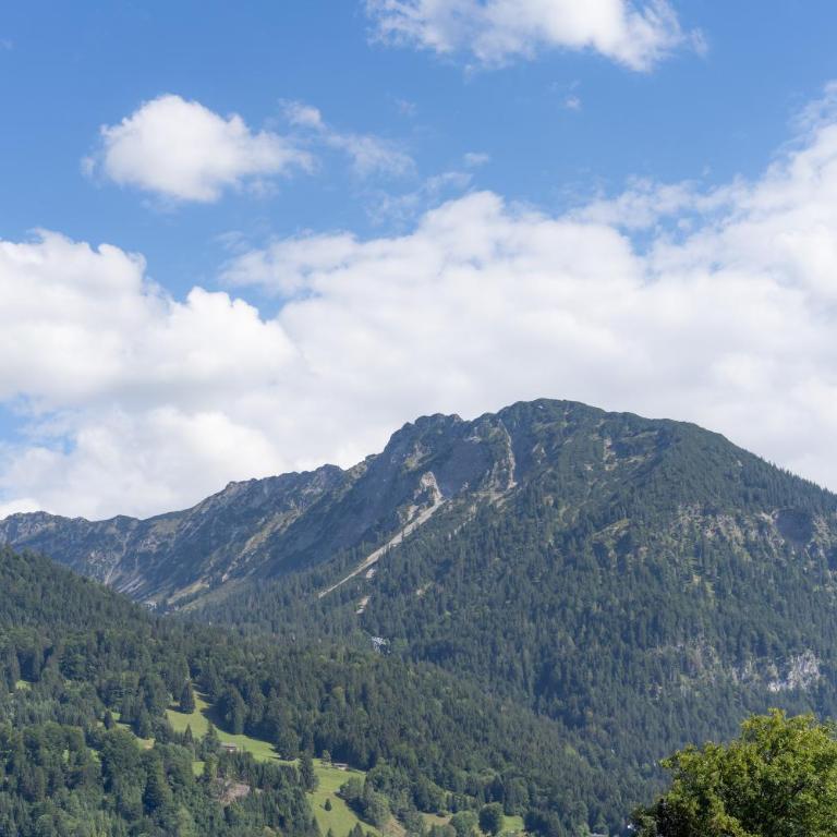 Landhaus Ohrwumslar - Apartment mit Blick auf die Berge - 7