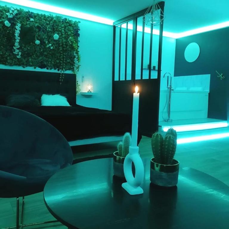 L'Atelier de rêves - Appartement 1 Chambre - 13