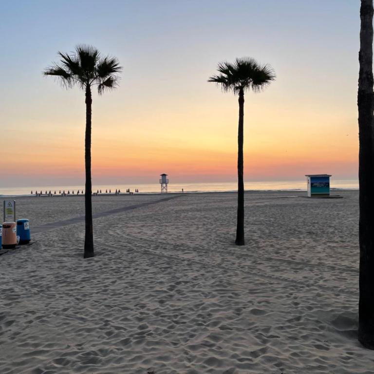 Nuevo Apartamento Elegante Gandia - Apartamento de 3 dormitorios - 25