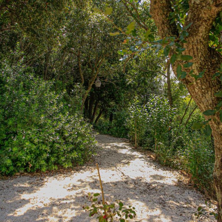 TRULLI OLISTICI - Villa con 2 Camere da Letto - 68