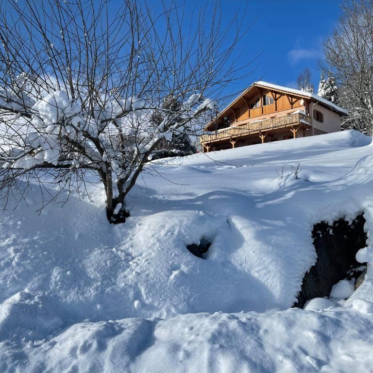 Chalet SPA Le Diamant Nathalie MN La Rouge - Chalet - 69