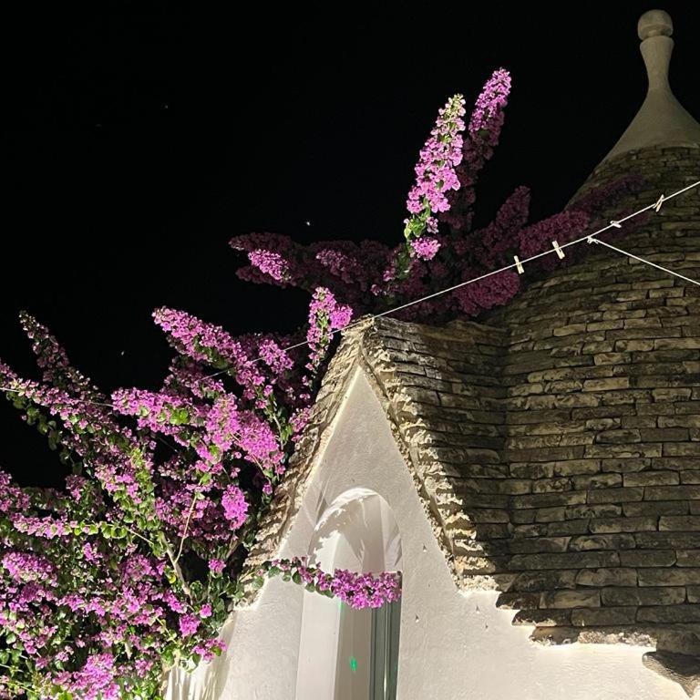 Trulli Harmonia con piscina - Alberobello - Appartamento con 1 Camera da Letto - 28