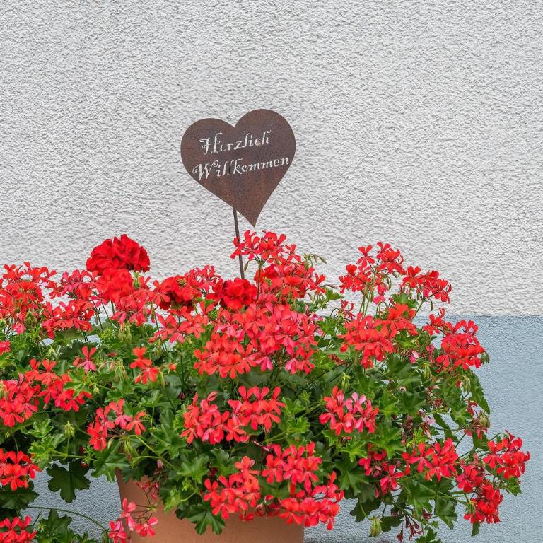 Alpenhaus Thurnher - Apartment mit 2 Schlafzimmern und Dusche - 30