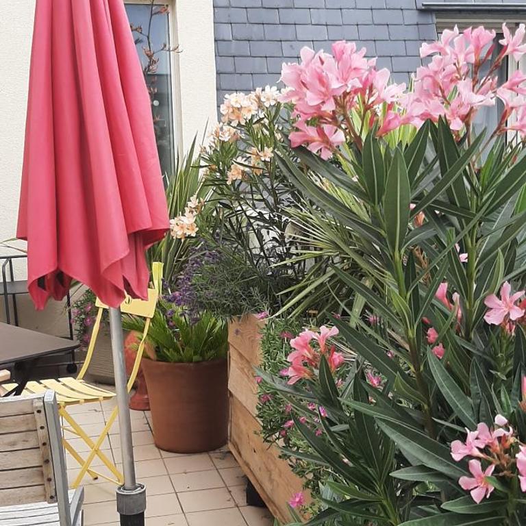 Les Terrasses Plage Benoit - Appartamento con 1 Camera da Letto - 14