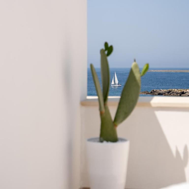 Fronte Mare Casa Daspa - Appartamento con Vista Mare - 2