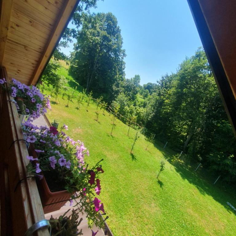 Drvena vikendica Teodora - Two-Bedroom Apartment - 14