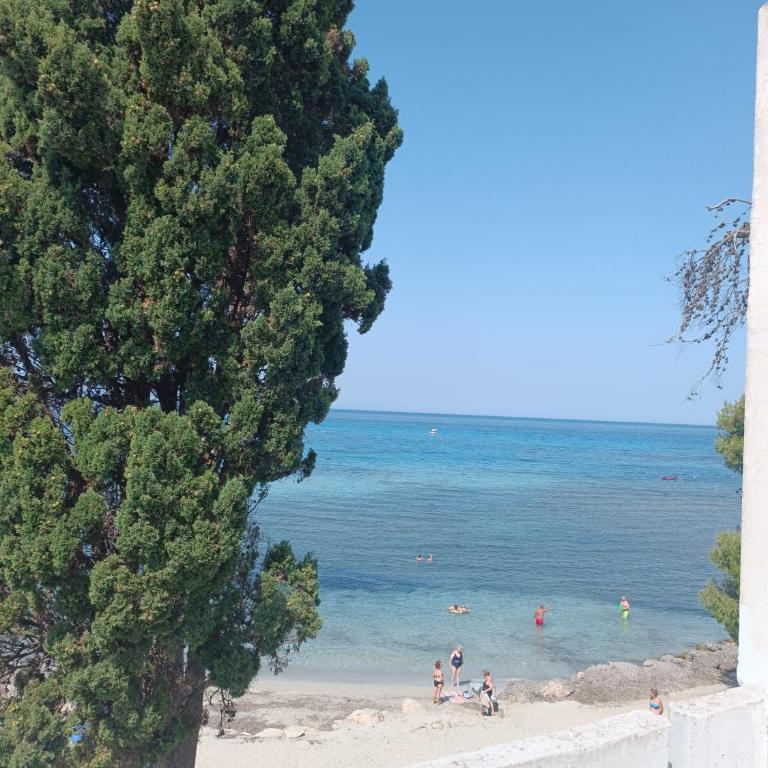 Appartamenti La Spiaggia - Casa con 1 Camera da Letto - 6
