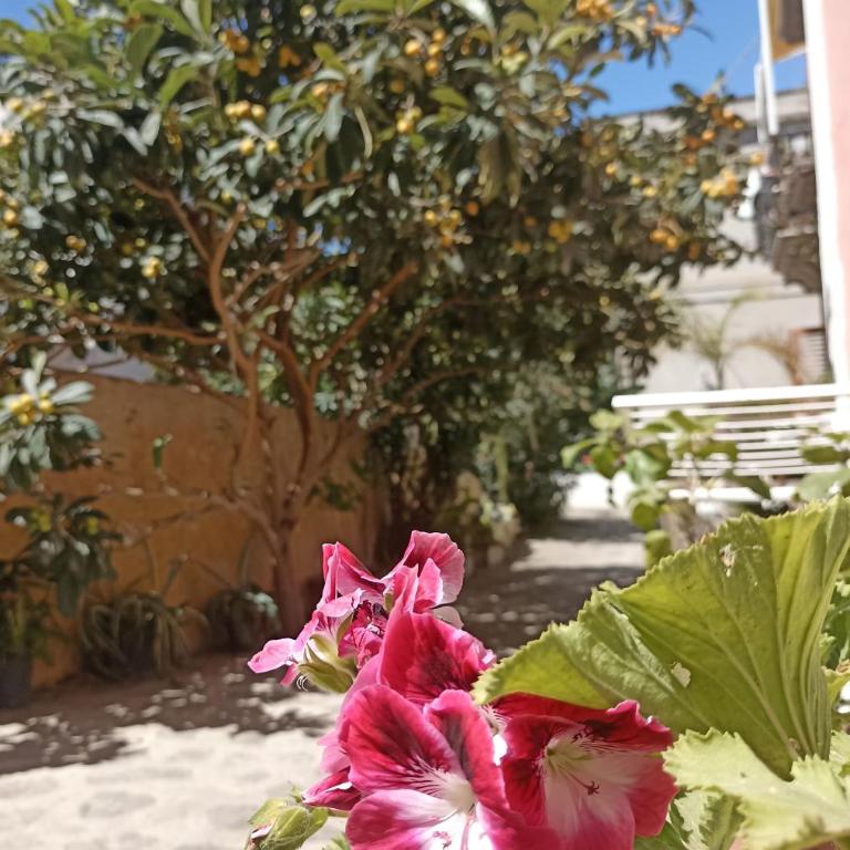 Al Nespolo - centro storico - One-Bedroom Apartment - 11