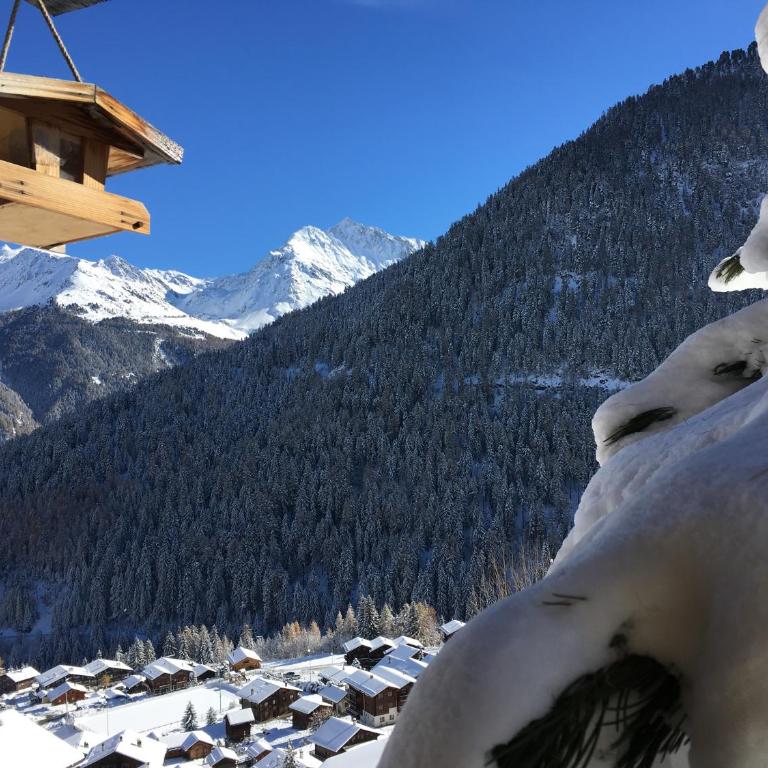 Rafaches - Chalet - 26