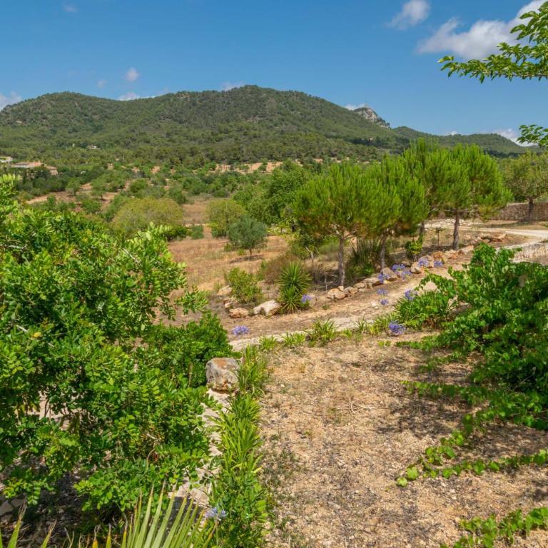 S'Albarcoquer - Villa de 5 dormitorios - 72