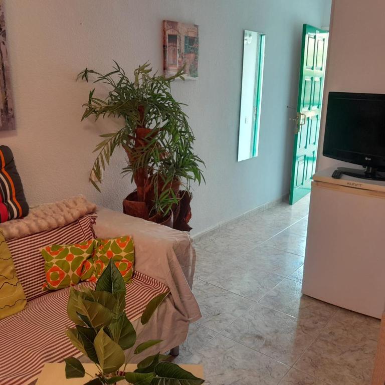 Dunes Beach Apartment - Apartamento de 1 dormitorio - 3