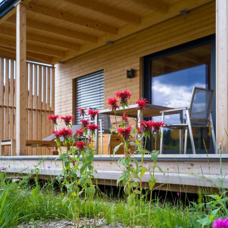 Wiesenquartier I Chalet I Adults only - Chalet - 13