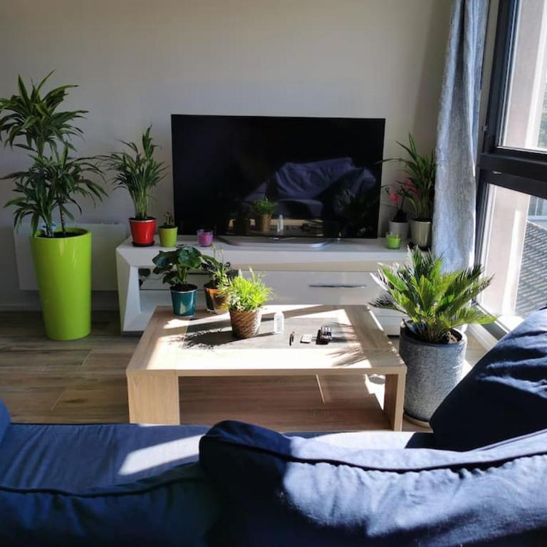 Joli appartement lumineux au calme, Wi-Fi, parking - Appartement 1 Chambre - 1