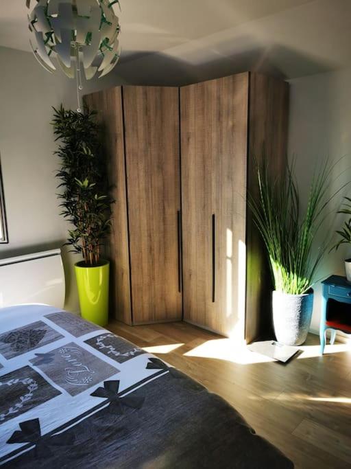 Joli appartement lumineux au calme, Wi-Fi, parking - Appartement 1 Chambre - 8