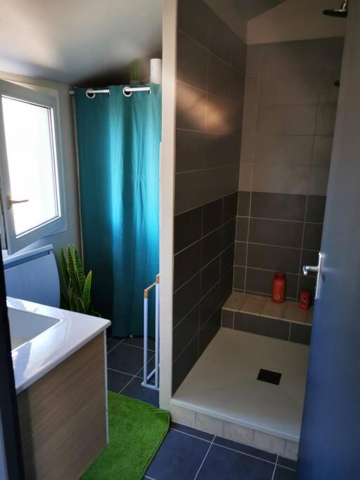 Joli appartement lumineux au calme, Wi-Fi, parking - Appartement 1 Chambre - 12