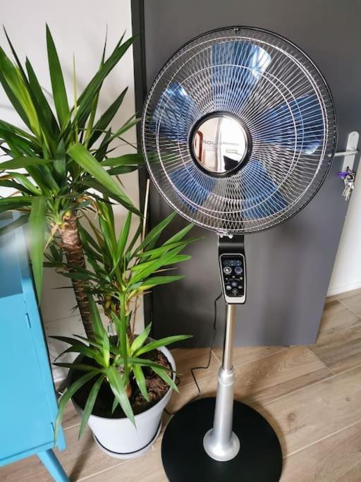 Joli appartement lumineux au calme, Wi-Fi, parking - Appartement 1 Chambre - 18