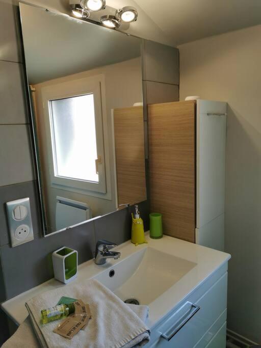 Joli appartement lumineux au calme, Wi-Fi, parking - Appartement 1 Chambre - 10