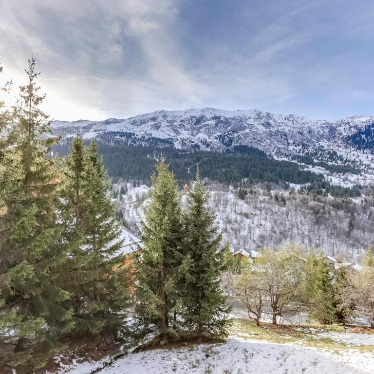 Appartement 2 pièces cabine pour 4 à Méribel avec parking couvert - FR-1-411-677 - Apartamento (4 adultos) - 7