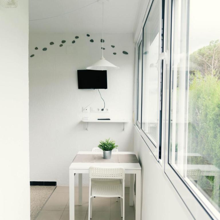 Apartaments Falcó - Estudio - 1