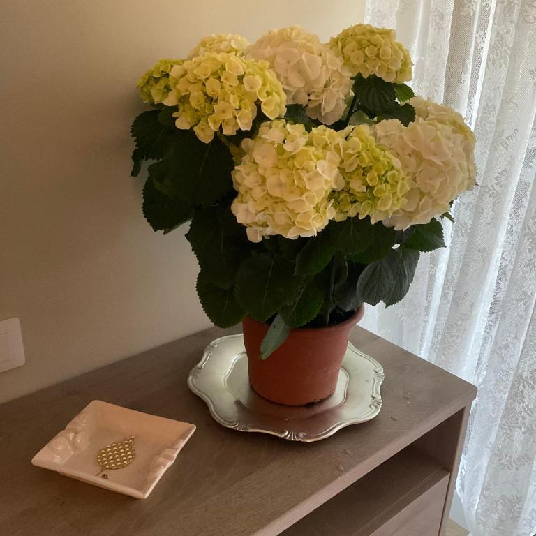 Luxury One bedroom with garden - Apartamento de 1 dormitorio - 23