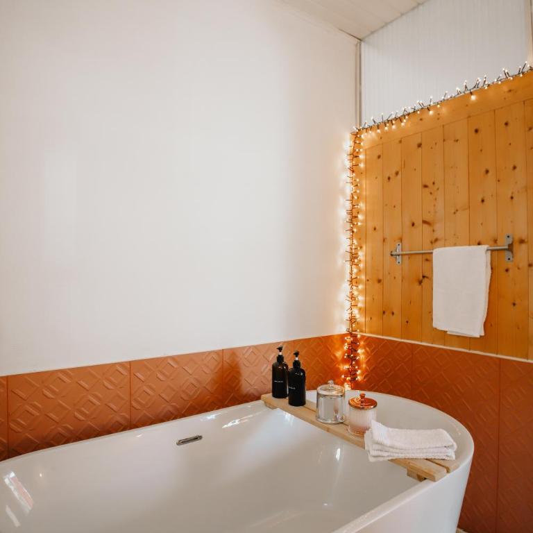 Coquillages et crustacés, vidéoprojecteur baignoire îlot chez Ivona Vacances - Appartement 1 Chambre - 34